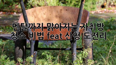 🧹 멘탈까지 맑아지는 자취방 청소 비법! (feat. 산청 도전리) ✨
